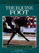 Image for Understanding the Equine Foot
