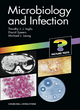 Image for Microbiology and infection