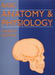 Image for Basic anatomy &amp; physiology