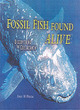 Image for Fossil fish found alive  : discovering the coelacanth