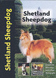 Image for Shetland Sheepdog