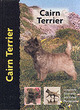 Image for Cairn terrier