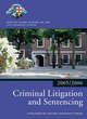 Image for Criminal Litigation and Sentencing 2005/2006