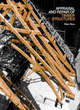 Image for Appraisal and Repair of Timber Structures (Appraisal and Repair of Building Structures series)