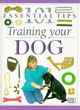 Image for DK 101s:  26 Training Your Dog