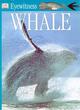 Image for Whale