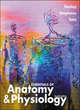Image for Essentials of anatomy and physiology