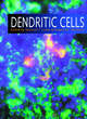 Image for Dendritic Cells