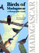Image for Birds of Madagascar  : a photographic guide
