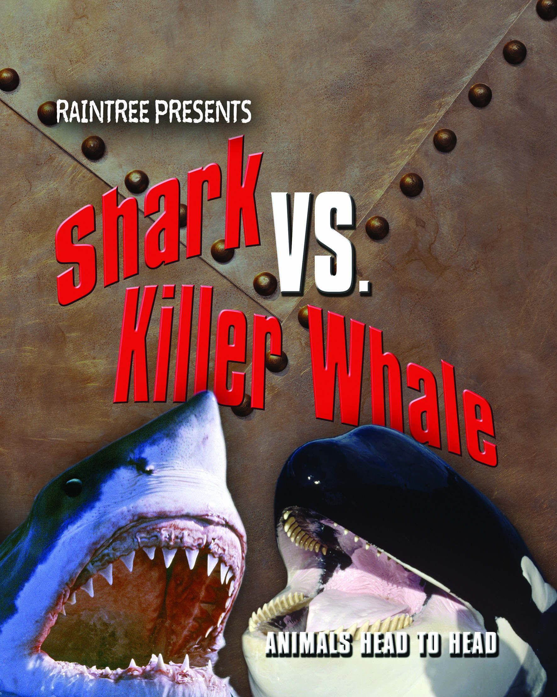 Shark vs. killer whale