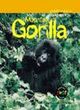 Image for Animals in Danger: Mountain Gorilla (Cased)