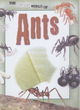 Image for The Secret World Of: Ants Paperback
