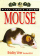 Image for All about your mouse