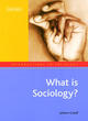 Image for What Is Sociology?