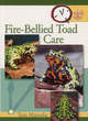 Image for Fire-Bellied Toad Care