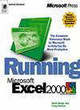 Image for Running Microsoft Excel 2000