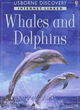 Image for Discovery Program: Dolphins and Whales