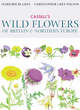 Image for Cassell&#39;s wild flowers of Britain &amp; Northern Europe
