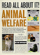 Image for Animal Welfare