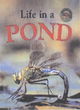 Image for Life in a pond