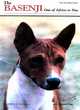 Image for The Basenji  : out of Africa to you