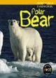 Image for Animals Danger: Polar Bear HB