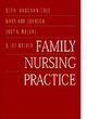 Image for Family Nursing Practice