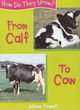 Image for How Do They Grow: Calf To Cow