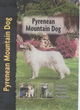 Image for Pyrenean mountain dog