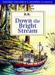 Image for Down the Bright Stream