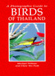Image for A Photographic Guide to Birds of Thailand
