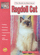Image for Guide to owning a ragdoll cat