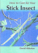 Image for How to Care for Your Stick Insect