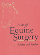 Image for Atlas of Equine Surgery