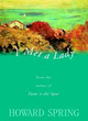 Image for I met a lady  : a novel