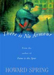 Image for There is no armour  : a novel