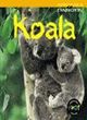 Image for Animals in Danger: Koala (Cased)