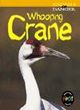 Image for Animals in Danger: Whooping Crane  Paperback