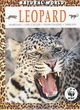 Image for Leopard  : habitats, life cycles, food chains, threats
