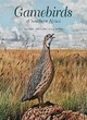 Image for Gamebirds of Southern Africa