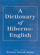 Image for Dictionary of Hiberno-English