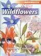 Image for Australian Wildflowers