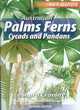 Image for Australian palms, ferns, cycads and pandants