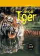 Image for Bengal Tiger
