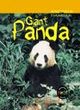 Image for Animals Danger: Giant Panda Paperback