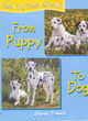 Image for From puppy to dog