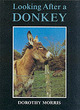 Image for Looking after a donkey