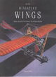 Image for On miniature wings  : model aircraft of the National Air and Space Museum