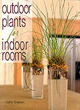 Image for Outdoor plants for indoor rooms