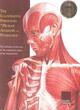 Image for The Illustrated Portfolio of Human Anatomy and Pathology